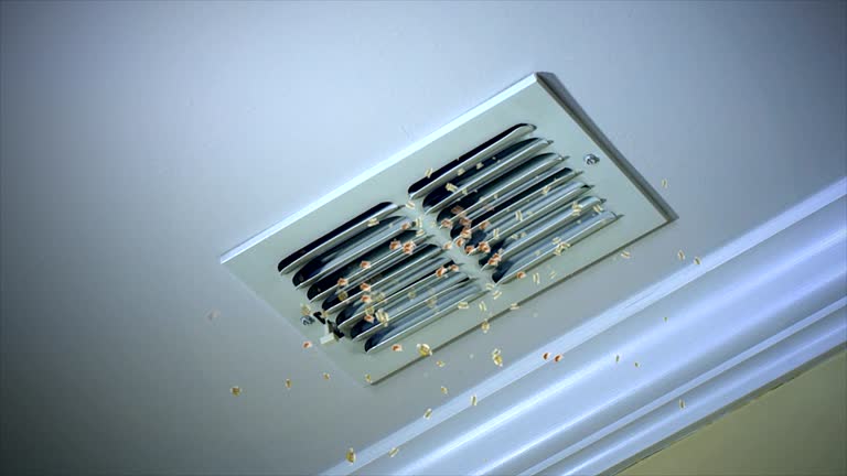 Best Dryer Vent Cleaning Services  in Glendale, AZ